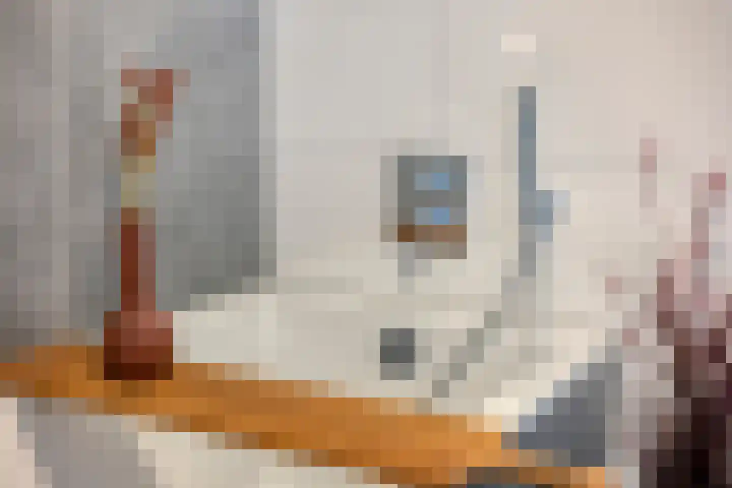 Reviusdreef 13 Leiderdorp thumbnail 30