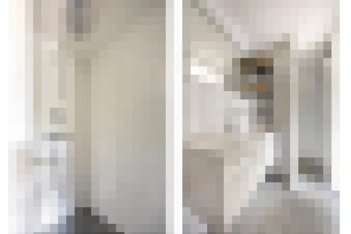 Reviusdreef 13 Leiderdorp thumbnail 31