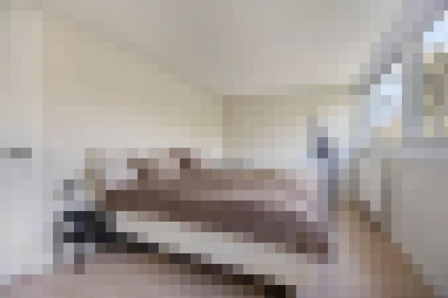 Reviusdreef 13 Leiderdorp thumbnail 32