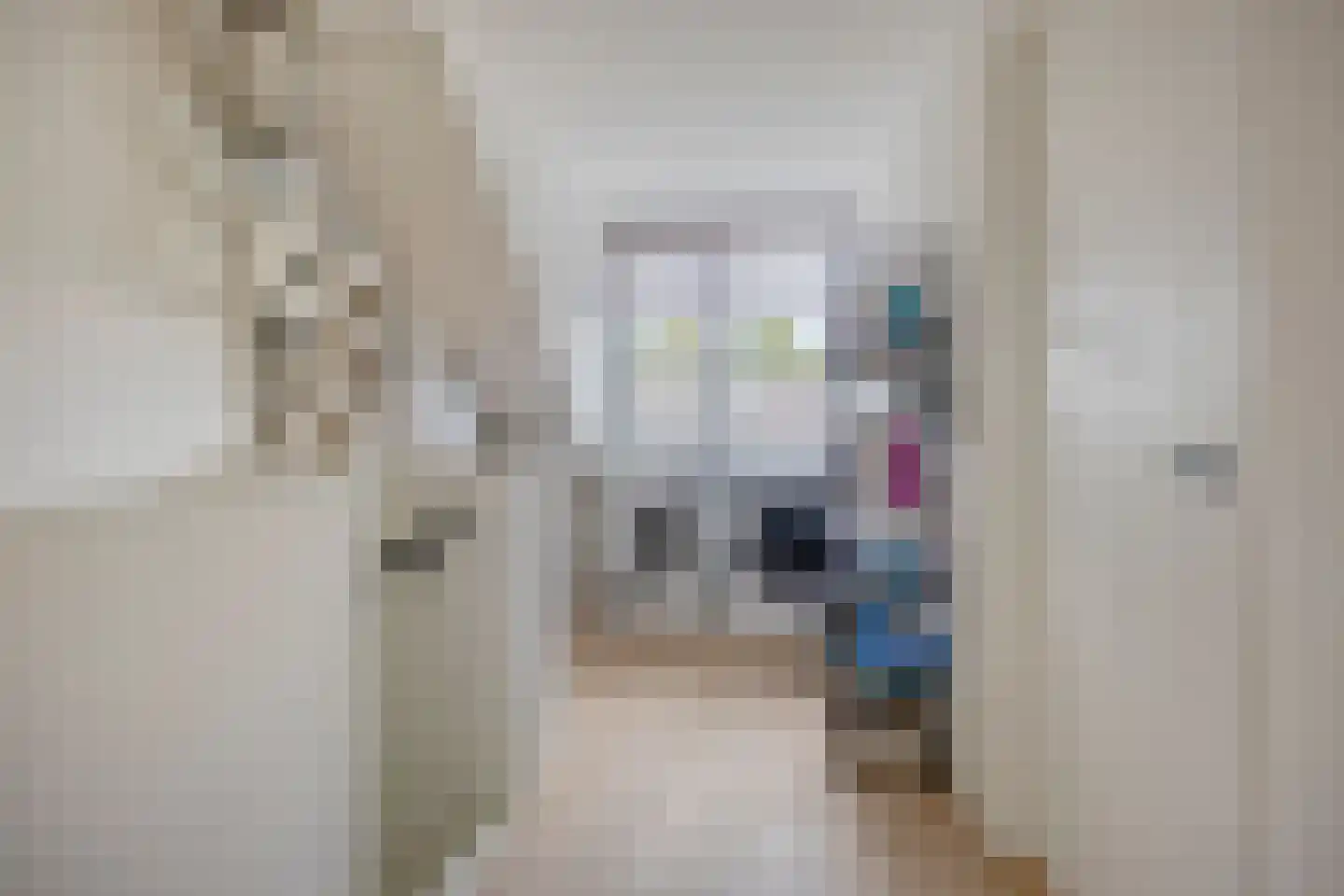 Reviusdreef 13 Leiderdorp thumbnail 39