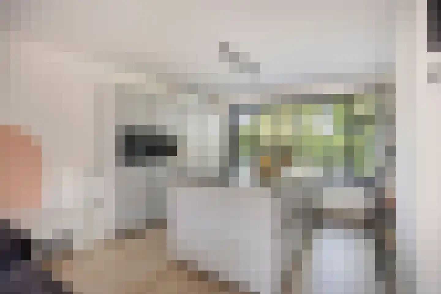 Reviusdreef 13 Leiderdorp thumbnail 4