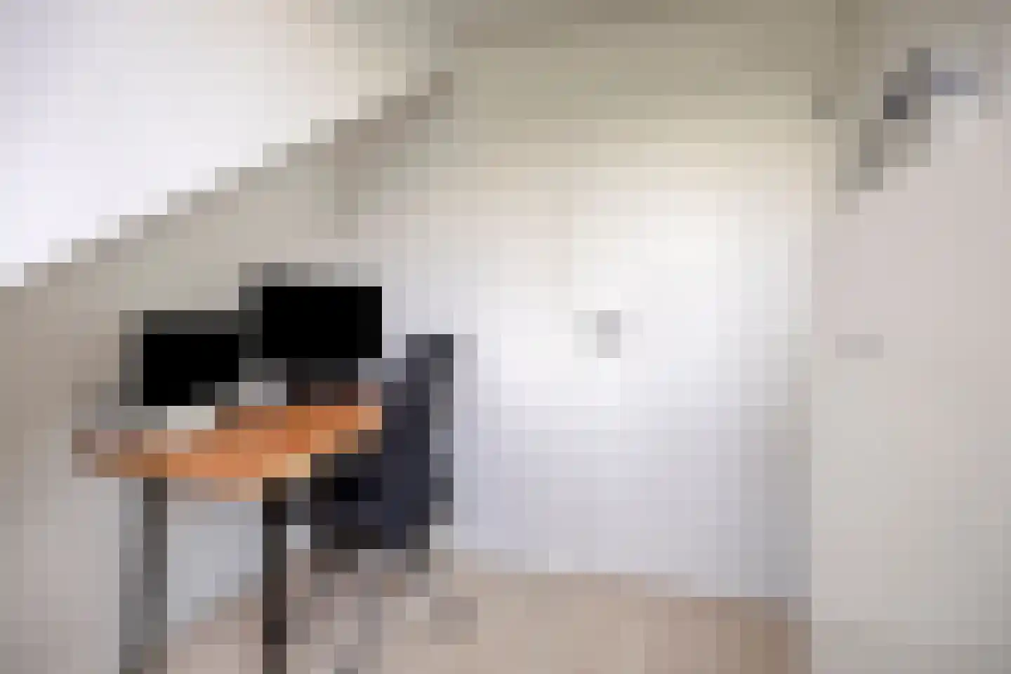 Reviusdreef 13 Leiderdorp thumbnail 44