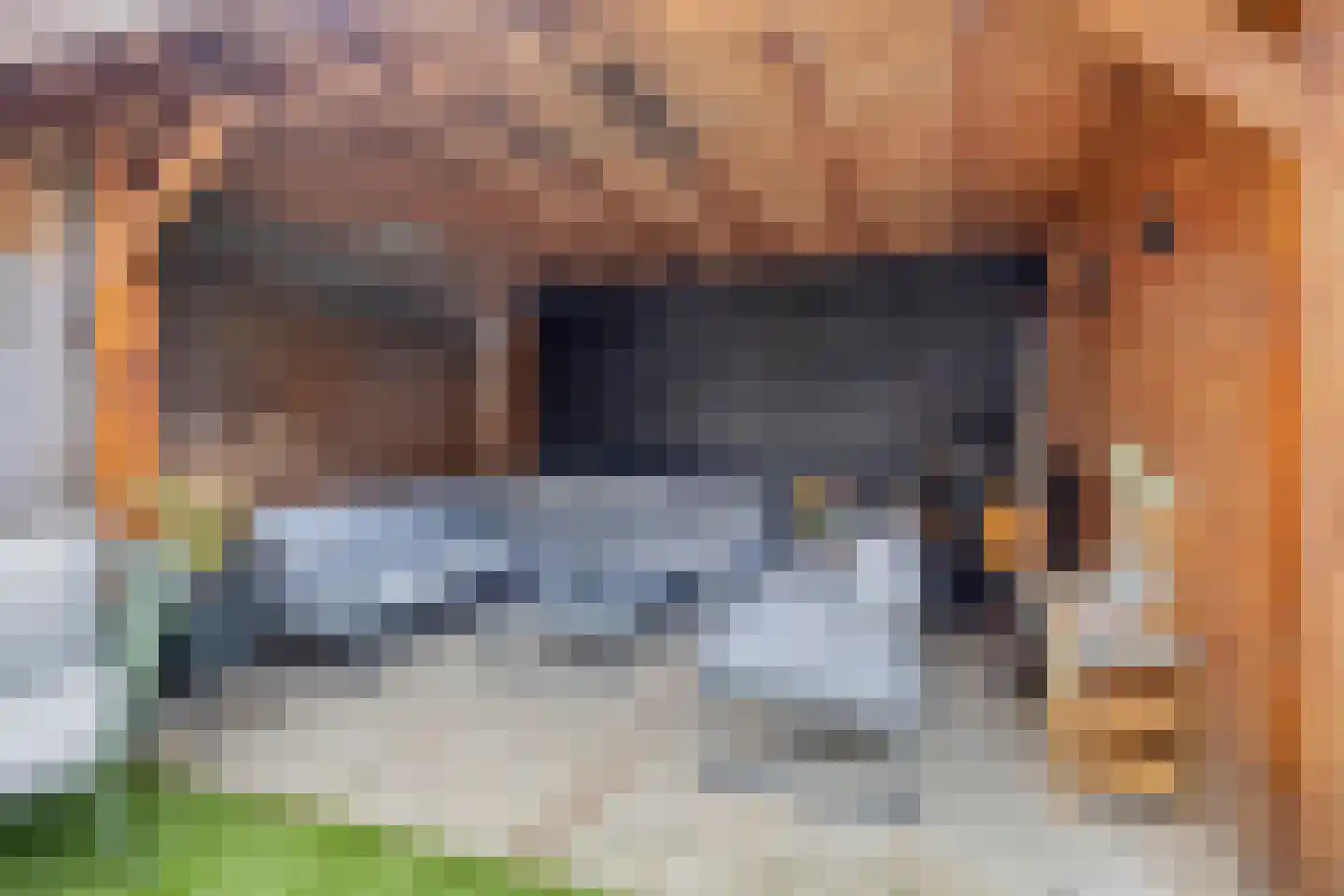 Reviusdreef 13 Leiderdorp thumbnail 49