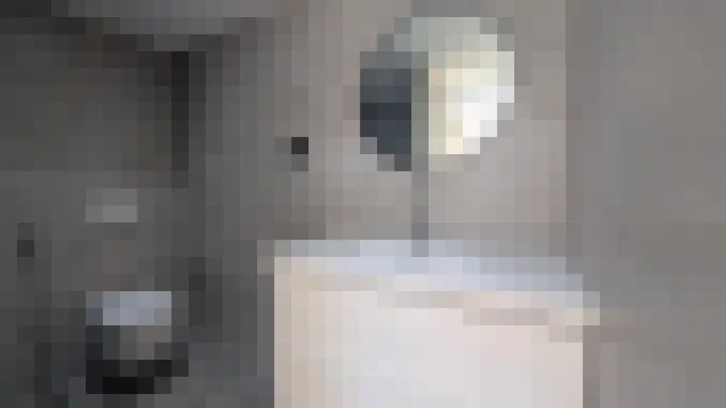 Reviusdreef 4 Leiderdorp thumbnail 28