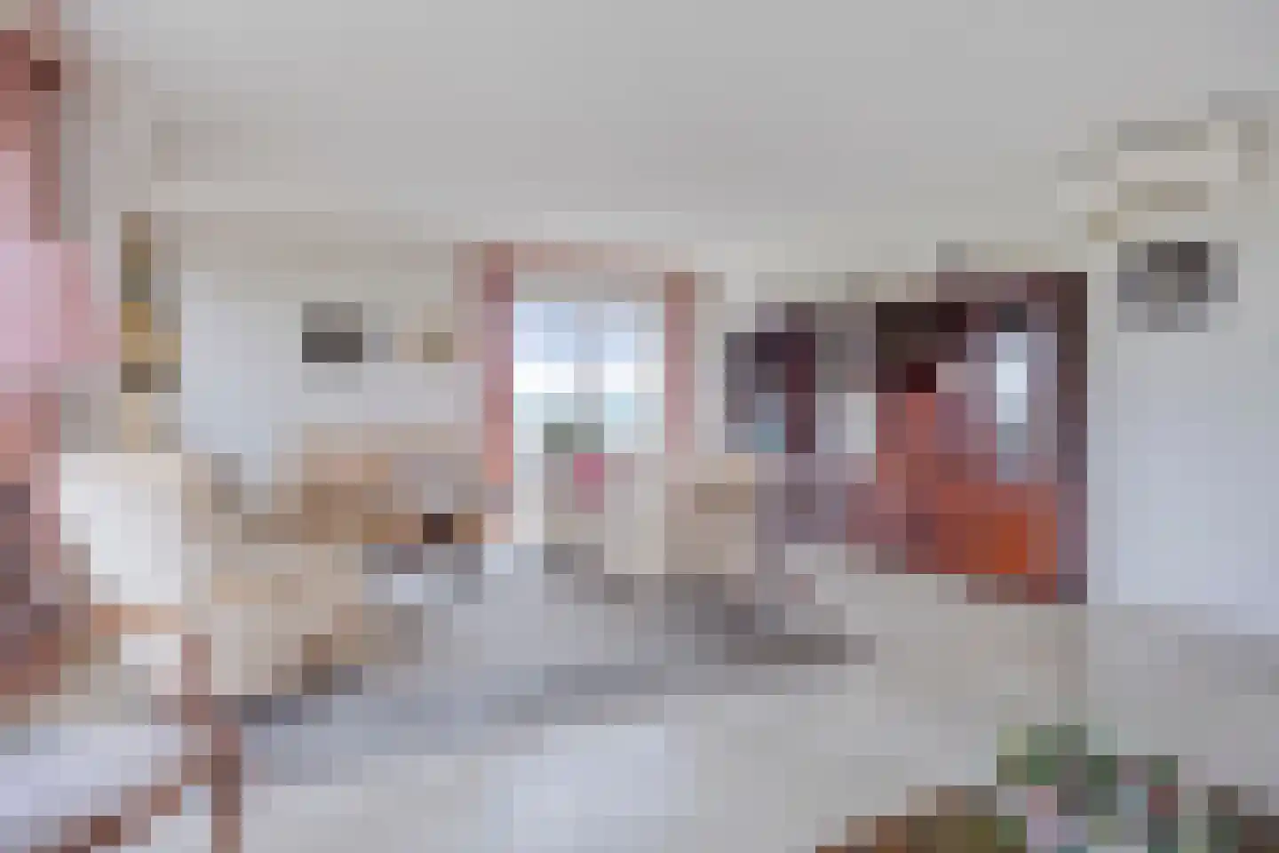 Reviuslaan 106 Oegstgeest thumbnail 11