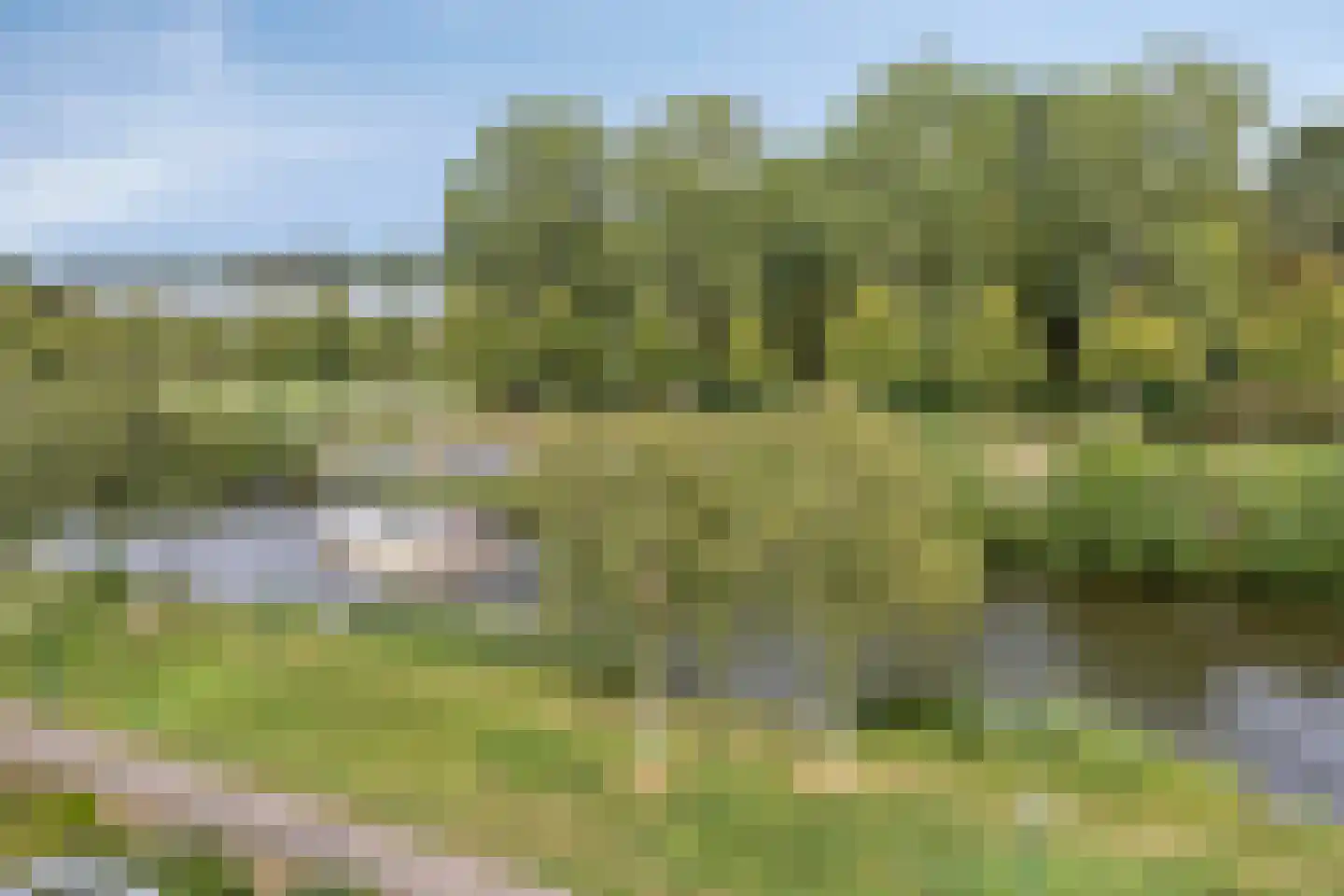 Reviuslaan 106 Oegstgeest thumbnail 16