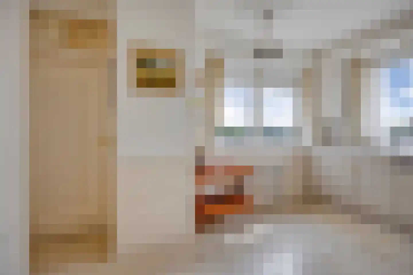Reviuslaan 106 Oegstgeest thumbnail 21