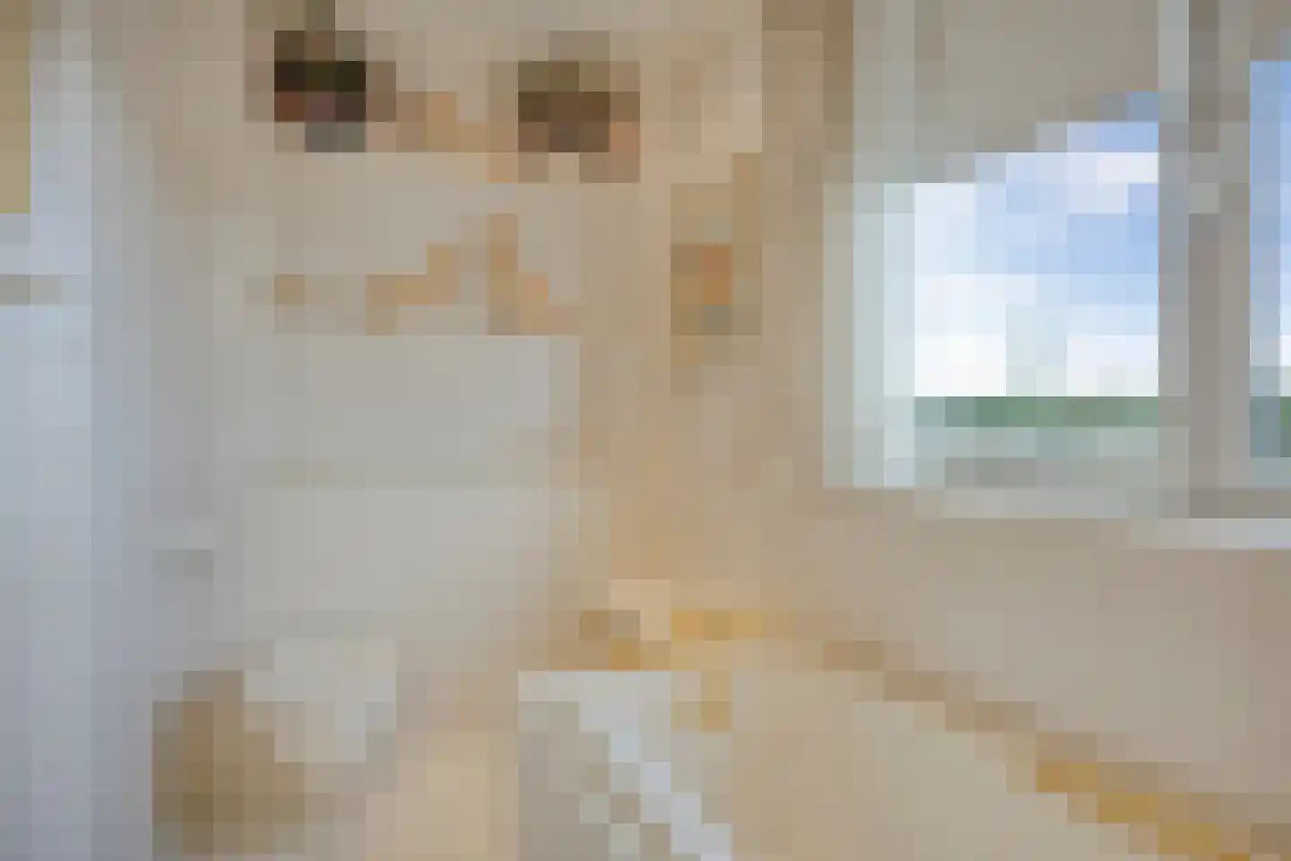 Reviuslaan 106 Oegstgeest thumbnail 31