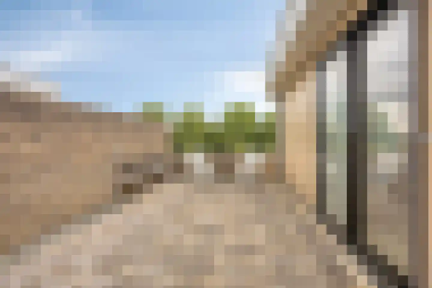Reviuslaan 106 Oegstgeest thumbnail 33
