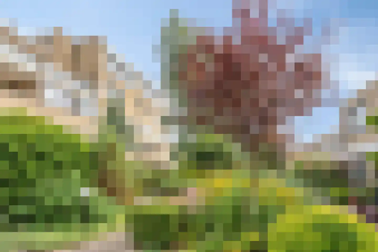 Reviuslaan 106 Oegstgeest thumbnail 55