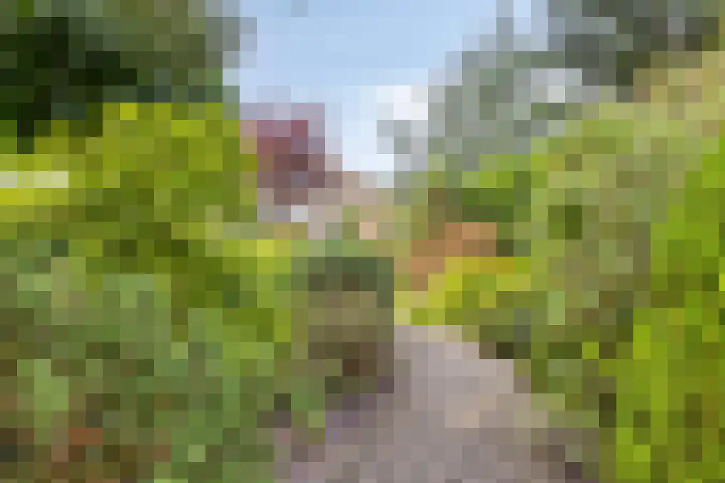 Reviuslaan 106 Oegstgeest thumbnail 56