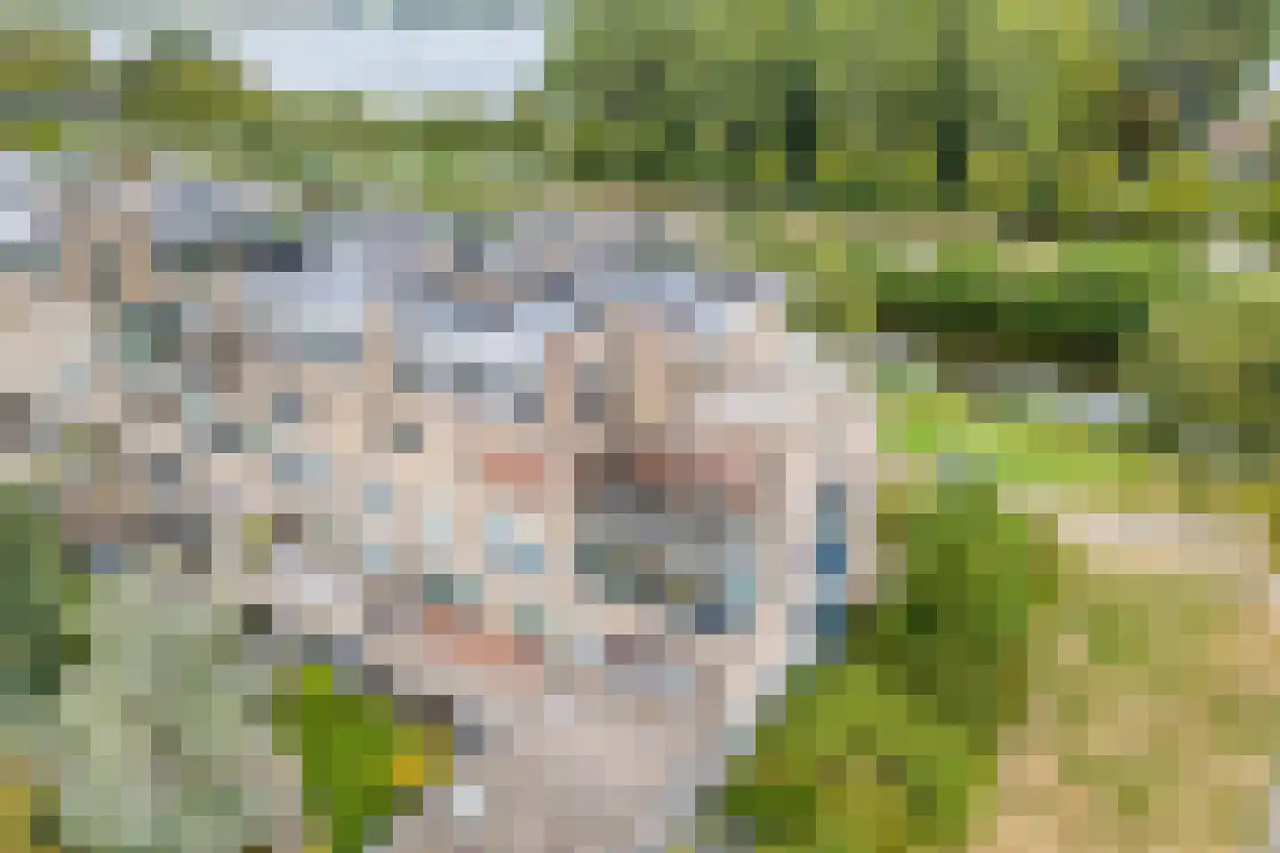 Reviuslaan 106 Oegstgeest thumbnail 58