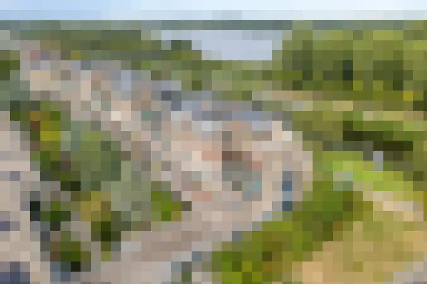 Reviuslaan 106 Oegstgeest thumbnail 60
