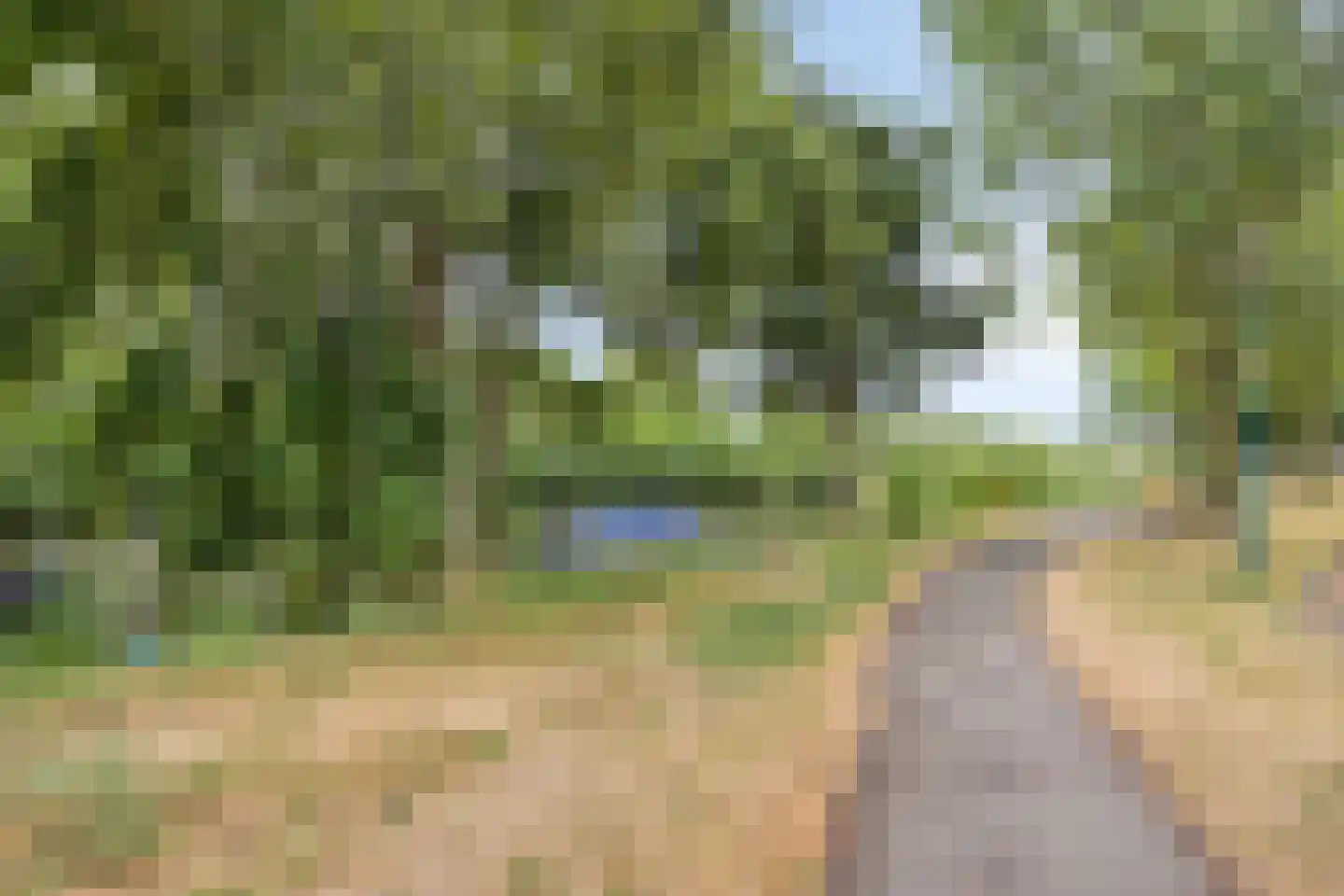 Reviuslaan 106 Oegstgeest thumbnail 66