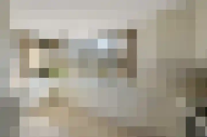 Reviuslaan 11 Oegstgeest thumbnail 10