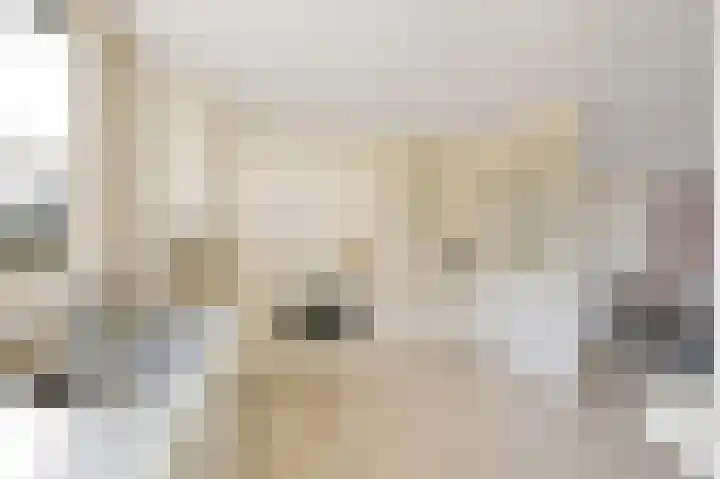 Reviuslaan 11 Oegstgeest thumbnail 11
