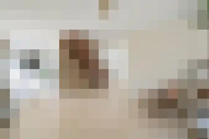 Reviuslaan 11 Oegstgeest thumbnail 12
