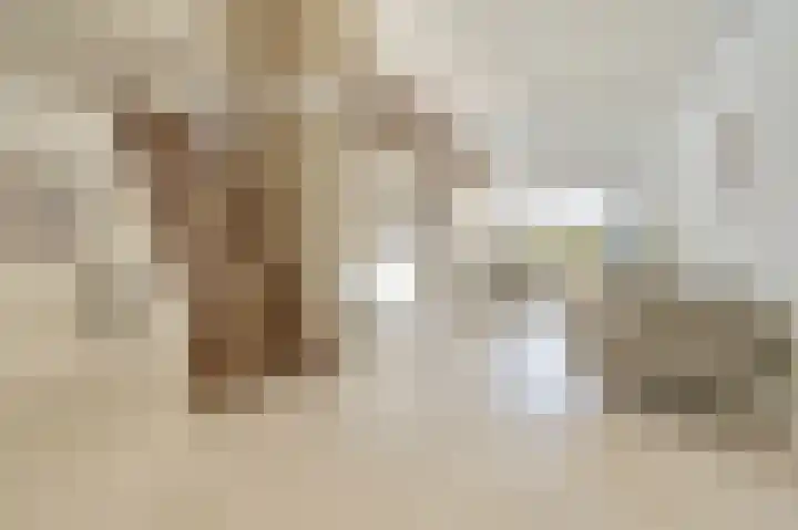 Reviuslaan 11 Oegstgeest thumbnail 13