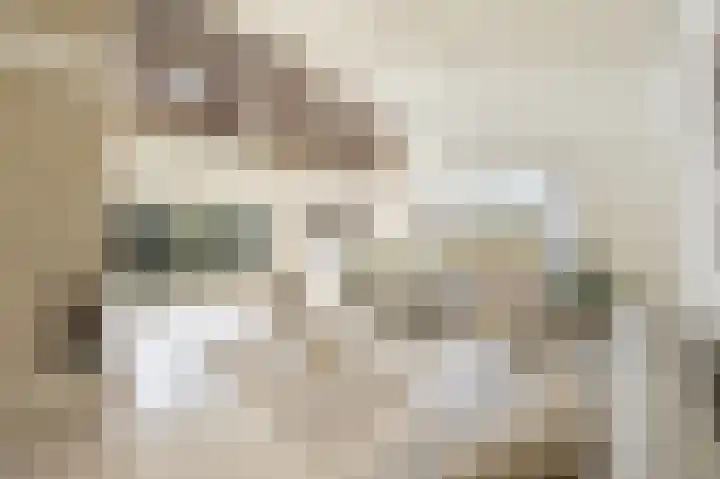 Reviuslaan 11 Oegstgeest thumbnail 14