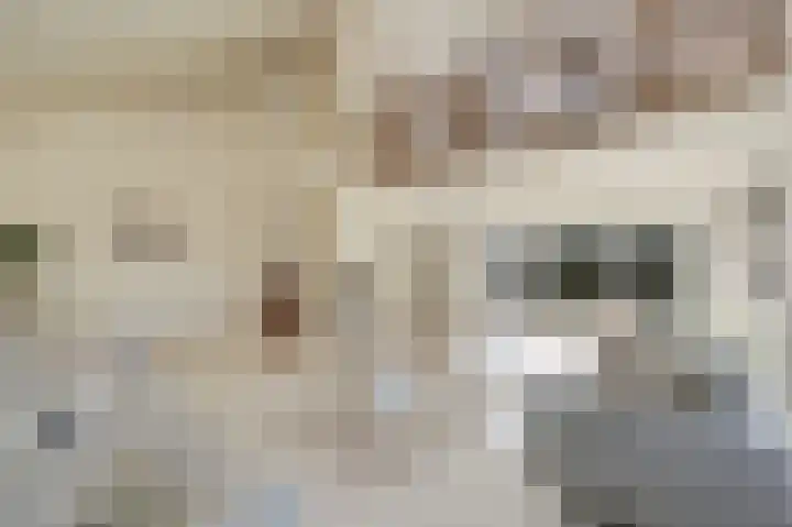 Reviuslaan 11 Oegstgeest thumbnail 15
