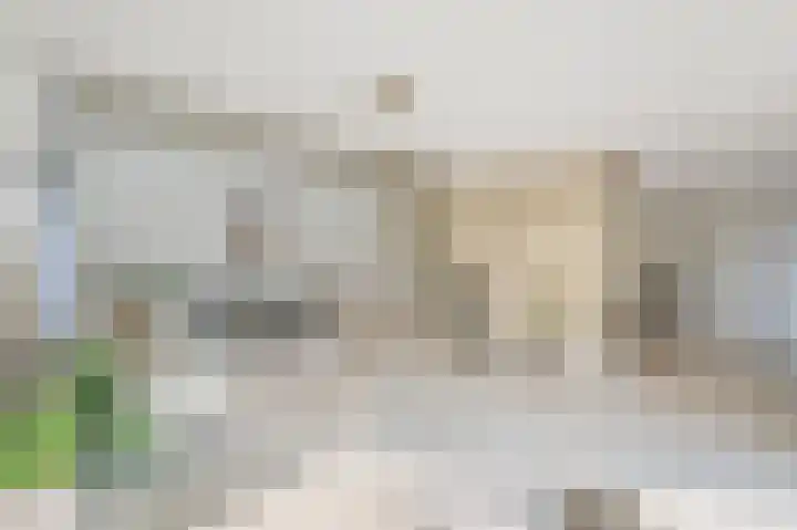 Reviuslaan 11 Oegstgeest thumbnail 18