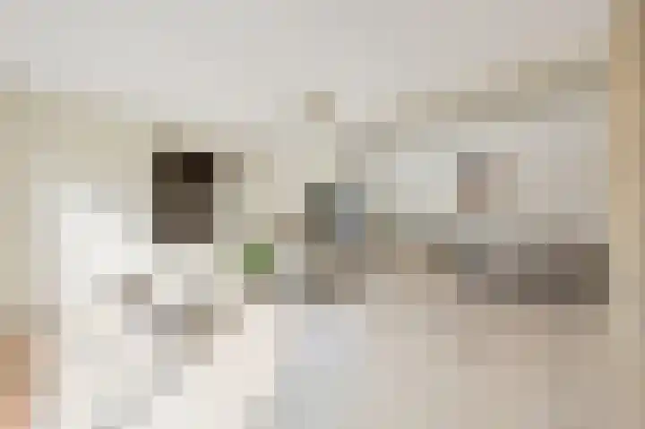 Reviuslaan 11 Oegstgeest thumbnail 19