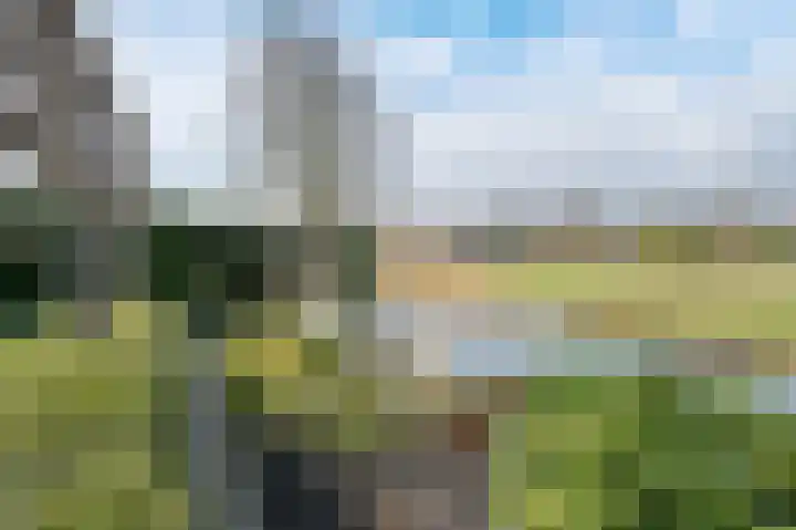 Reviuslaan 11 Oegstgeest thumbnail 23