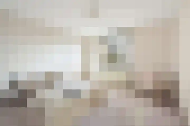 Reviuslaan 11 Oegstgeest thumbnail 27