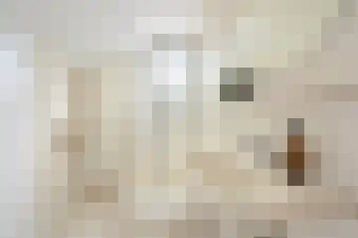 Reviuslaan 11 Oegstgeest thumbnail 38