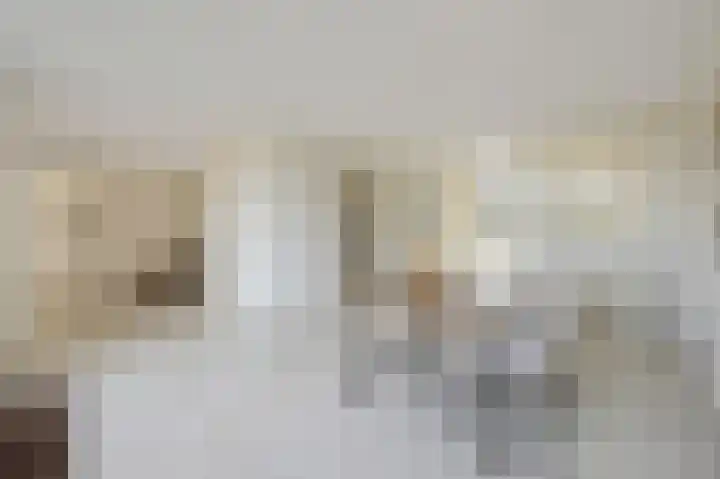 Reviuslaan 11 Oegstgeest thumbnail 7