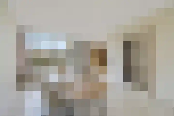 Reviuslaan 11 Oegstgeest thumbnail 8