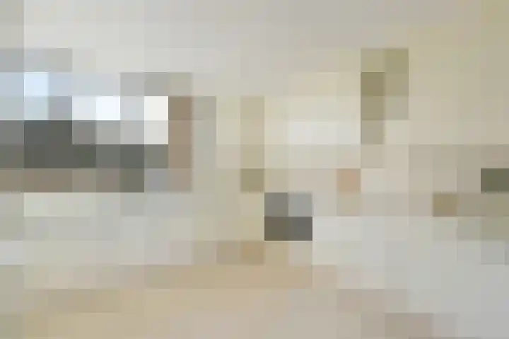 Reviuslaan 11 Oegstgeest thumbnail 9