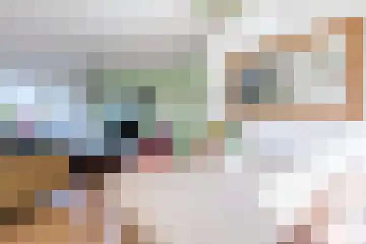 Reviuslaan 24 Oegstgeest thumbnail 25