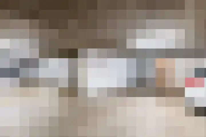 Reviuslaan 24 Oegstgeest thumbnail 43