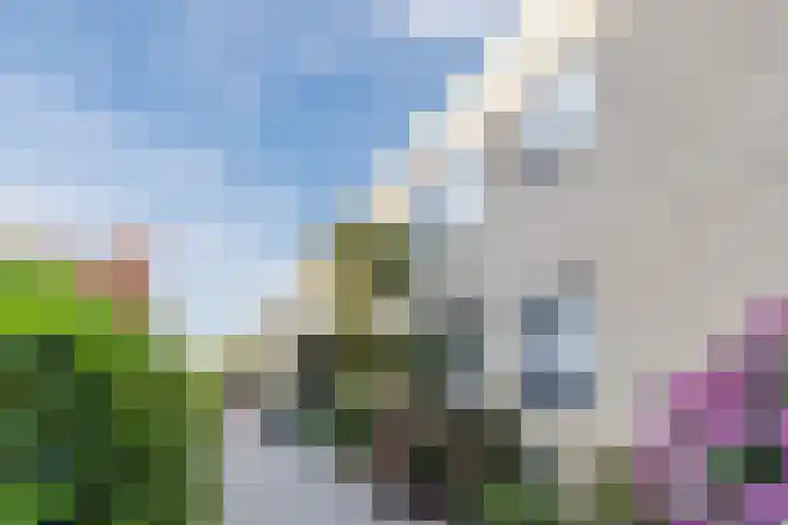 Reviuslaan 24 Oegstgeest thumbnail 5