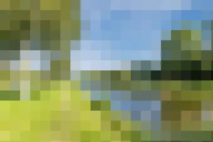 Reviuslaan 24 Oegstgeest thumbnail 51