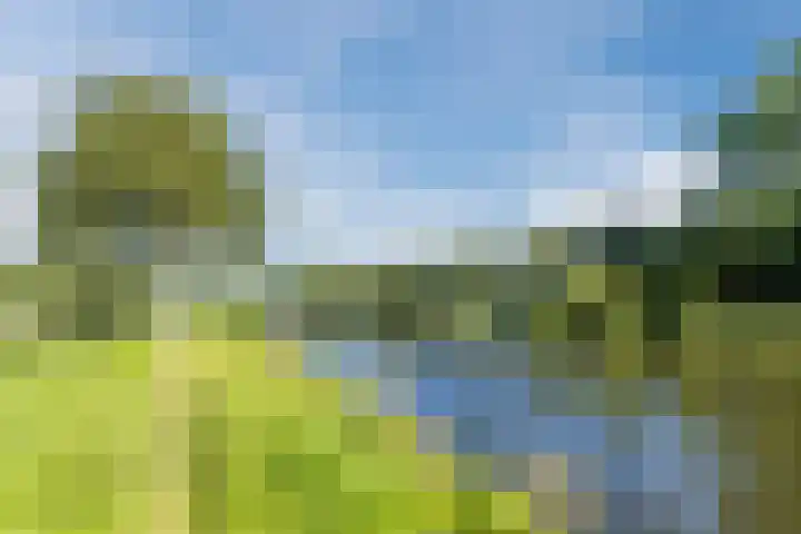 Reviuslaan 24 Oegstgeest thumbnail 52