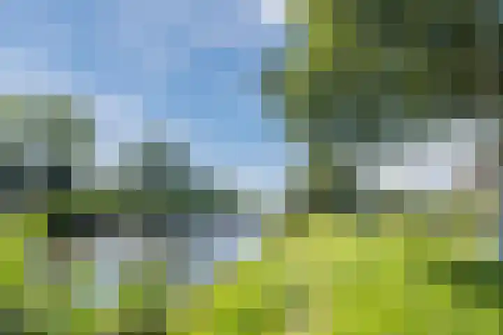 Reviuslaan 24 Oegstgeest thumbnail 53