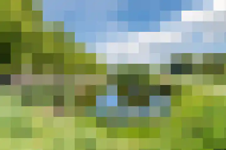 Reviuslaan 24 Oegstgeest thumbnail 54