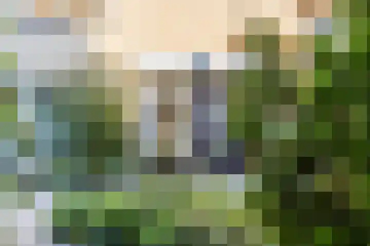 Reviuslaan 24 Oegstgeest thumbnail 8