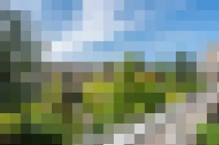 Reviuslaan 74 Oegstgeest thumbnail 36
