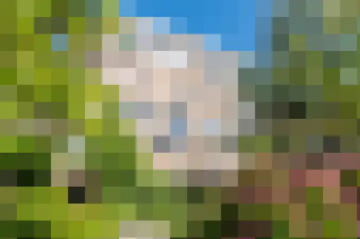Reviuslaan 74 Oegstgeest thumbnail 4