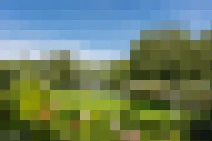 Reviuslaan 74 Oegstgeest thumbnail 40