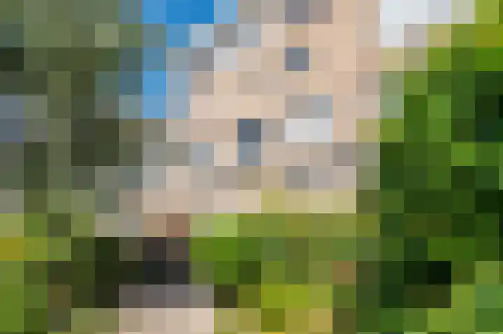 Reviuslaan 74 Oegstgeest thumbnail 43