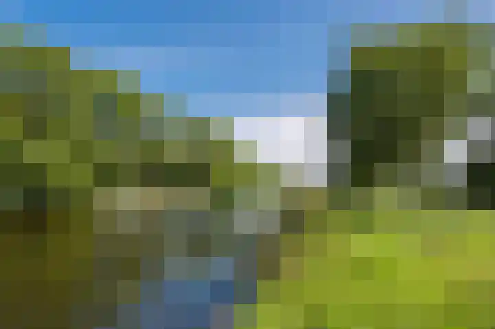 Reviuslaan 74 Oegstgeest thumbnail 45