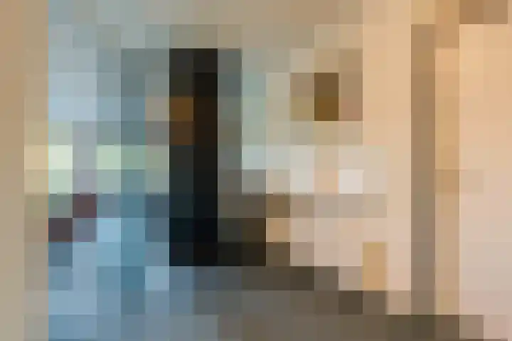 Reviuslaan 74 Oegstgeest thumbnail 6