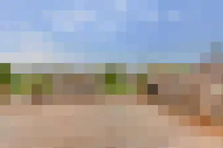 Reviusplein 113 Hoogeveen thumbnail 31