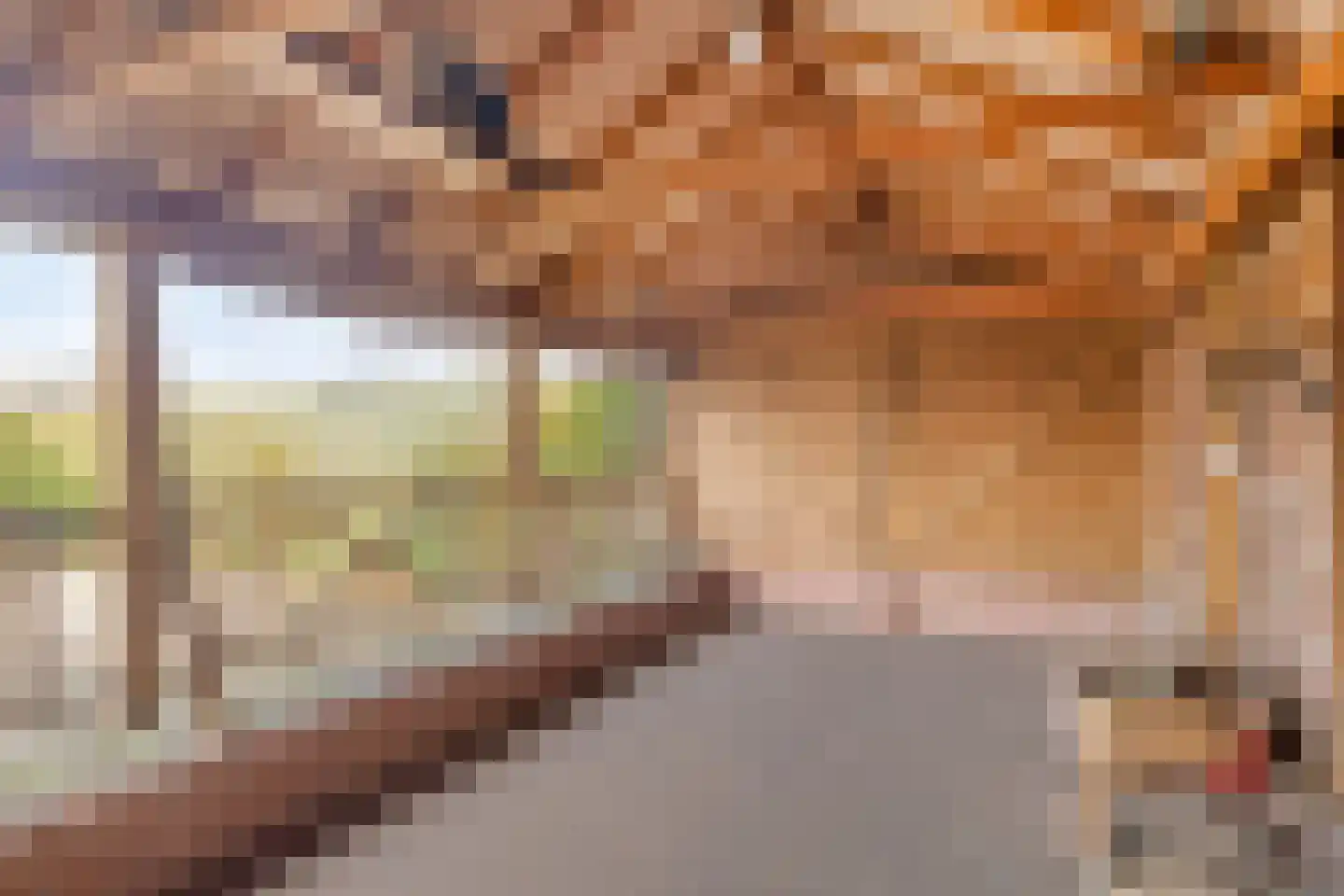 Reviusstraat 1 Aalten thumbnail 30