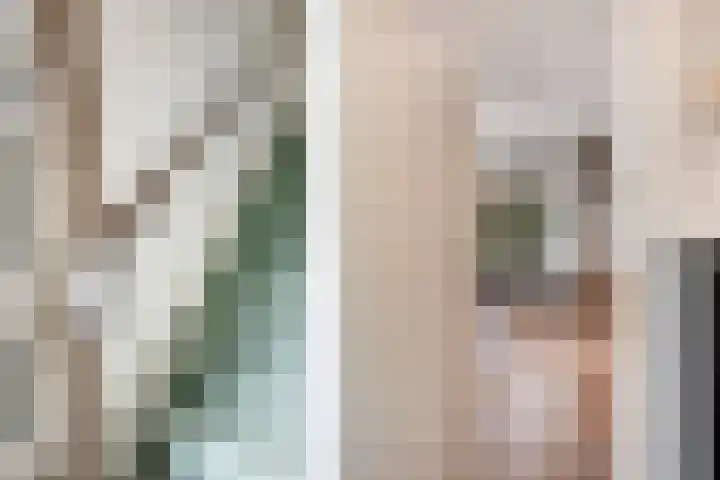 Reviusstraat 1 Goor thumbnail 11