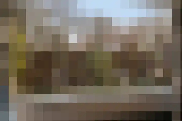 Reviusstraat 1 Goor thumbnail 14